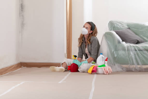 Reliable Mold Remediation contractor in Greenbackville, VA by 24 Hour Mold Removal